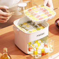 Press-Type Ice Tray with Storage Box
